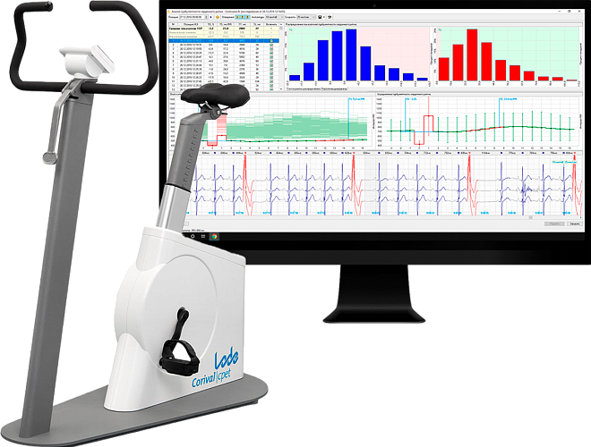Программное обеспечение РЕКОРД